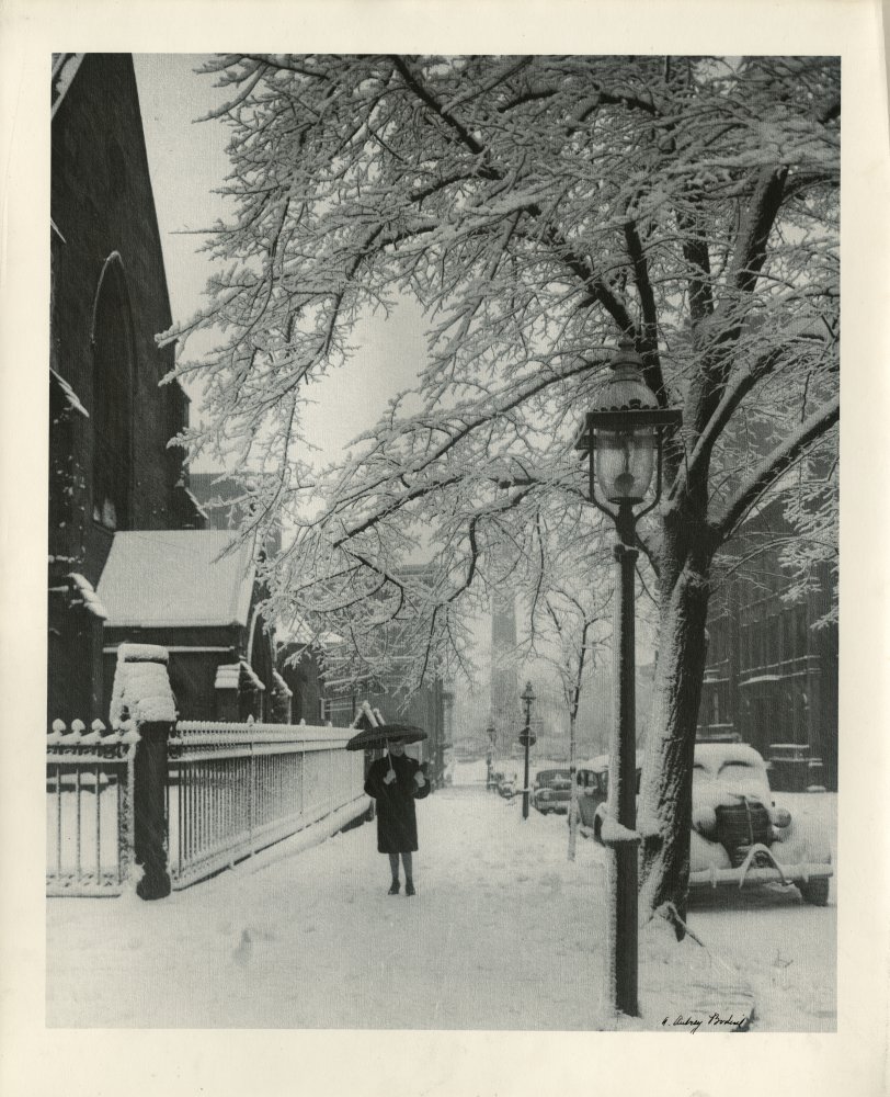 Click for larger image